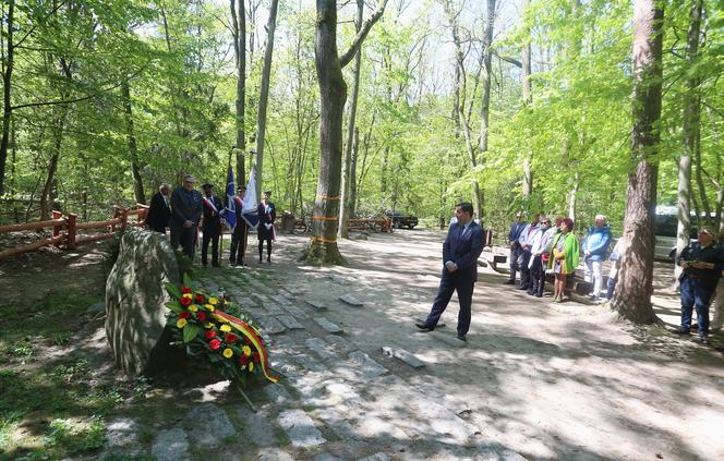 "Jeszcze chwila i rozbiłby się o bloki". Wspomnienia katastrofy lotniczej w Lesie Kabackim