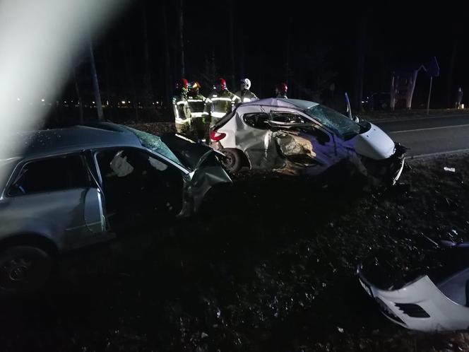Tragiczny wypadek w miejscowości Zarośle pod Grudziądzem. Zdjęcia z miejsca zdarzenia