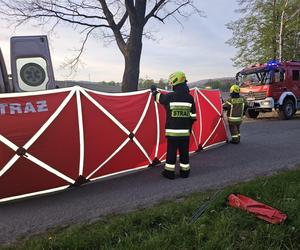 Na prostej zjechał z drogi i uderzył w drzewo