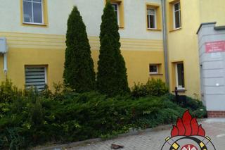 Zerwany dach przychodni i powalone drzewa