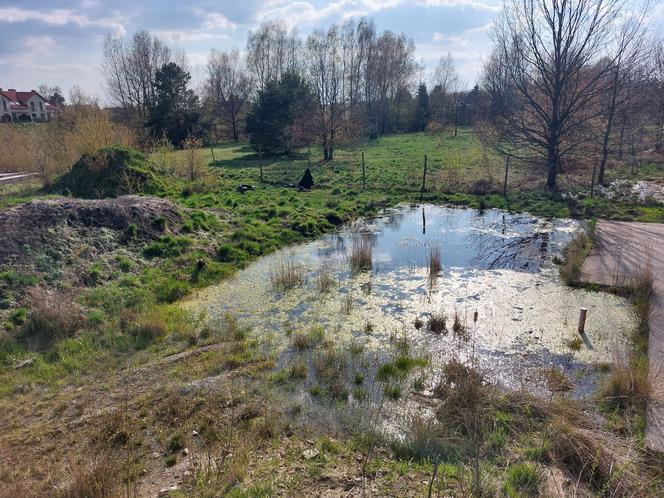 Niedokończone osiedle przy ul. Niskiej