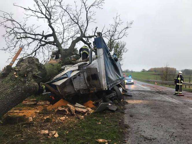 Ciężarówka zmasakrowała drzewo