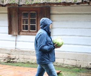 Tak ongiś siekano kapustę w woj. lubelskim. „Obieraczki kapuściane” w Muzeum Wsi Lubelskiej