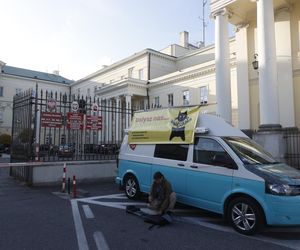 Wielki protest przez ratuszem. Wolontariusze walczą o życie kotów