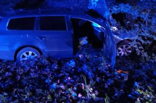 Tragiczny wypadek pod Nidzicą. Auto uderzyło w drzewo. Dwie osoby nie żyją