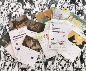 Poznańskie Schronisko dla Zwierząt rozdaje kocie i psie kalendarze ze swoimi podopiecznymi!