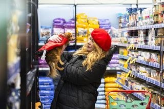 Nie może dopasować ubranka dla psa