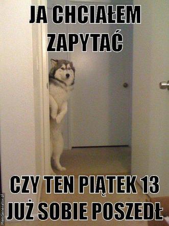 Memy na PIĄTEK trzynastego! Zobacz najśmieszniejsze obrazki w internecie! [GALERIA] 