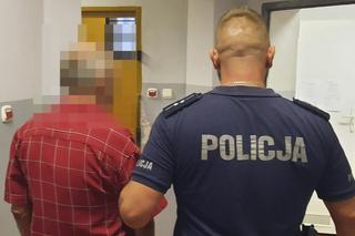 Chciała utopić kotki w ubikacji