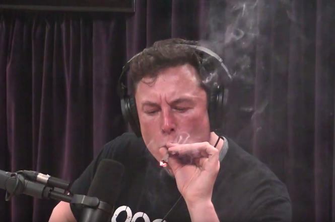 Elon Musk pali jointa na wywiadzie