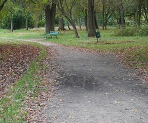 Park w Skarżysku-Kamiennej w opłakanym stanie! 