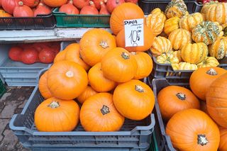 Ceny dyni w Krakowie 2025. Hokkaido i dynie ozdobne hitem na Nowym i Starym Kleparzu [GALERIA]