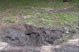Urządzili sobie tor przeszkód w zabytkowym parku