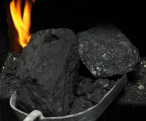 Jak przebiega sprzedaż węgla po preferencyjnej cenie w Toruniu? Sprawdziliśmy!