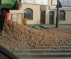 Ziemniakowy wypadek na trasie Wrocław-Opole. Ludzie zabierają, bierzemy? [NAGRANIE, ZDJĘCIA]