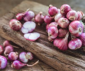 Szalotka – czym się różni od cebuli? Wszystko o czosnku askalońskim [WIDEO]