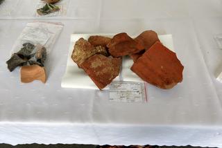 Orla. Fragmenty dworu Radziwiłłów odkryte podczas prac archeologicznych [ZDJĘCIA]