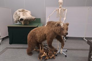 Małopolska Noc Naukowców 2024 na Uniwersytecie Rolniczym