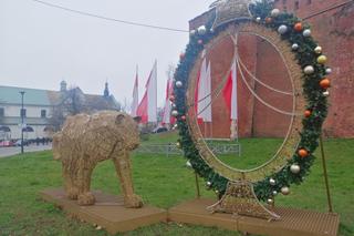 Świąteczne dekoracje w Krakowie