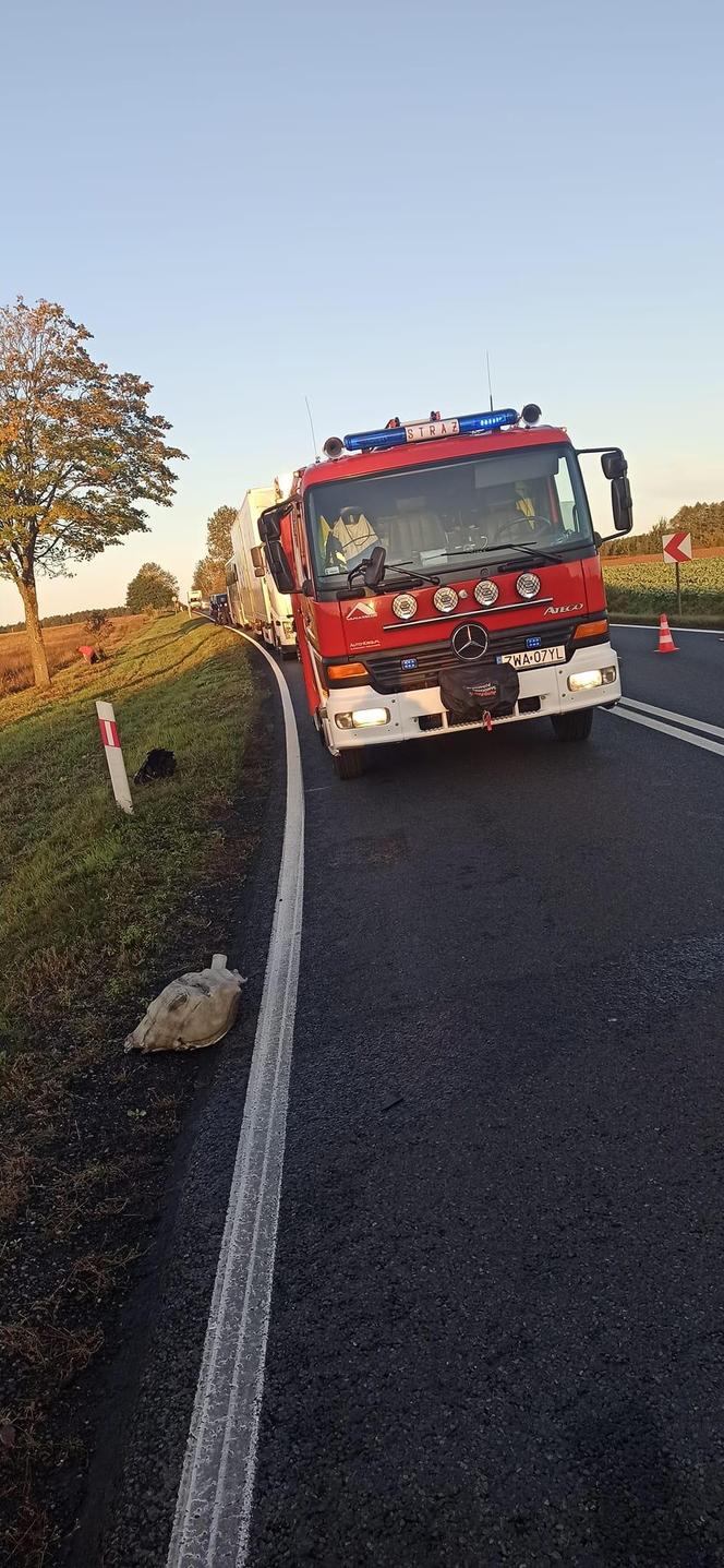 Tragiczny wypadek pod Wałczem. Zginęły dwie osoby 