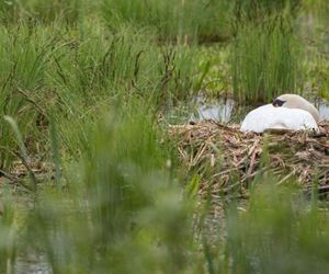 Brodnicki Park Krajobrazowy to raj dla aktywnych turystów. Odkryj bajkowe trasy i miejsca, jakie znasz z powieści kryminalnych!