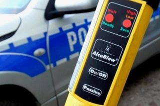 Rabinówka. Pijana 22-latka bez prawa jazdy uderzyła w ogrodzenie i drzewo