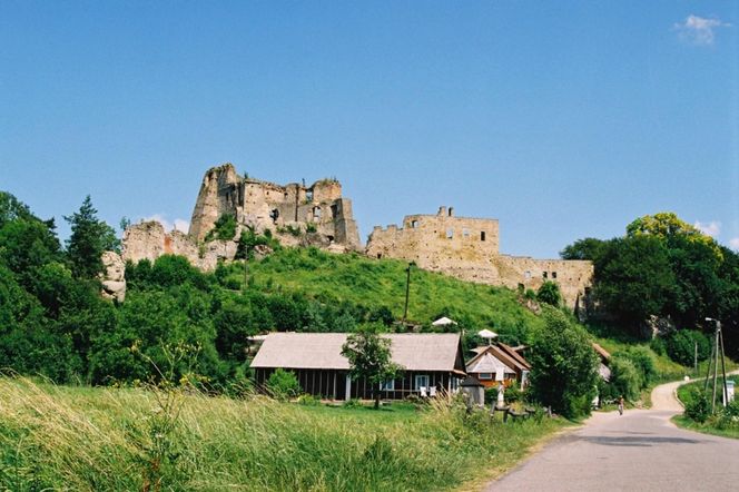 W tej wsi na Podkarpaciu w setną rocznicę insurekcji wystawiono pomnik Tadeusza Kościuszki. Stanął wśród ruin zamku