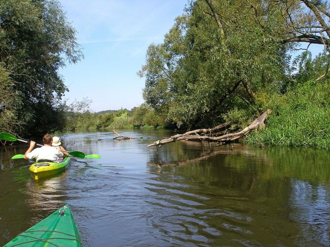 Spływ kajakowy Drwęcą
