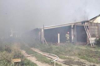 Lubelskie: Ogień strawił sprzęt rolniczy, budynki i kilka sztuk bydła. Straty wynoszą kilka milionów [GALERIA]