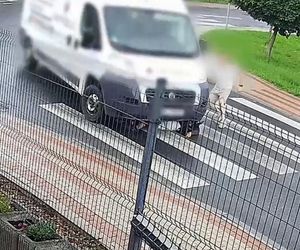 12-latek wpadł wprost pod dostawczaka