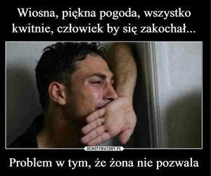 MEMY: 1 Dzień wiosny i Dzień Wagarowicza