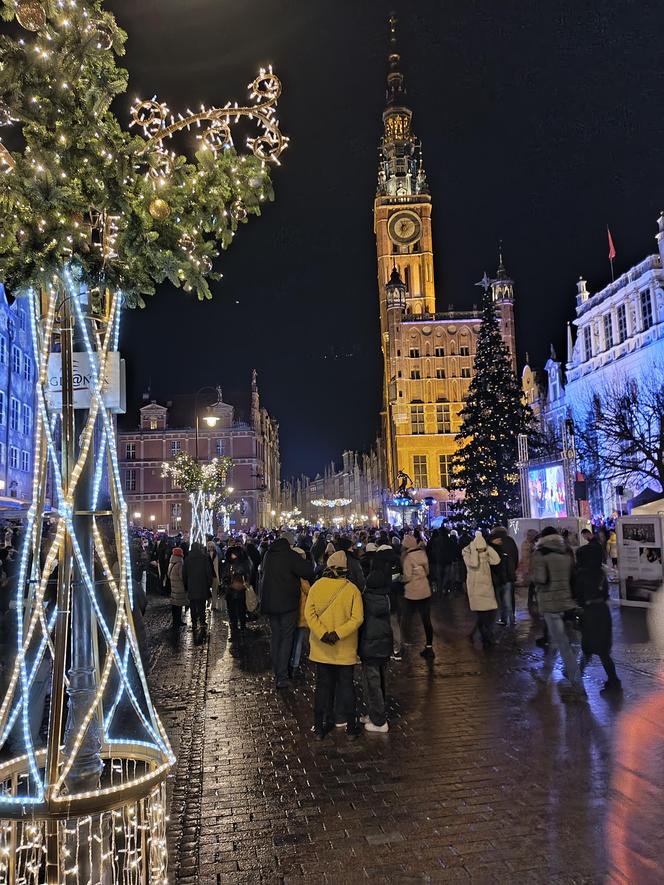 Gdańska choinka rozbłysła. Zobaczcie nasze zdjęcia!