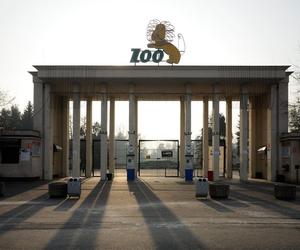7 najlepszych ogrodów zoologicznych w Polsce. Przygotowaliśmy ranking!