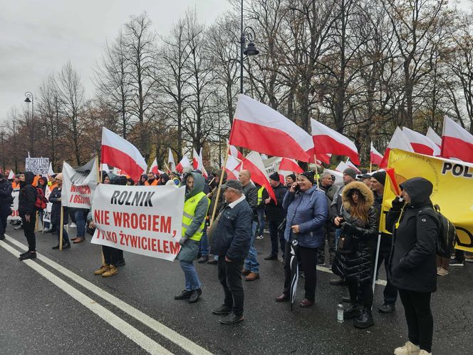 Protest plantatorów tytoniu w Warszawie (3.11.2025)