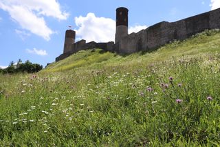 Zamek Królewski w Chęcinach