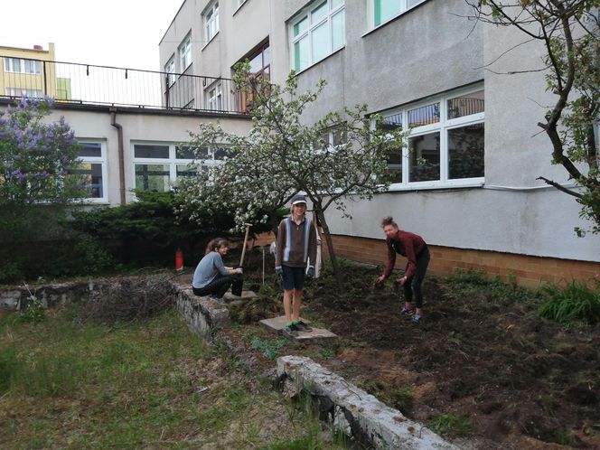 W Fordonie powstaje ogród społeczny. Każdy może dołączyć z łopatą czy sekatorem w ręku!