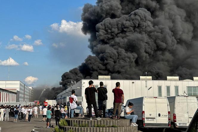 Mazowieckie. Pożar hali w Wólce Kosowskiej. Trwa ewakuacja i gaszenie obiektu [ZDJĘCIA]