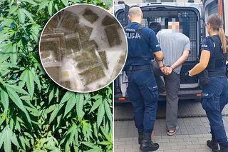 W ogrodzie uprawiał konopie indyjskie. Grozi mu nawet 10 lat więzienia 