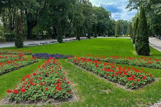 Najcieplejsze miasto w woj. podlaskim. Tu padł rekord temperatury!