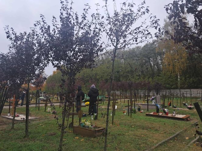 Rekordowa akcja "Światełko Pamięci". Uczniowie z Łodzi porządkowali opuszczone groby