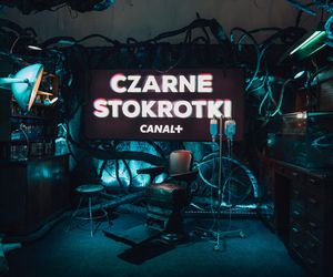 BNP Paribas Warsaw SerialCon