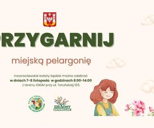 Inowrocław: przygarnij miejską pelargonię