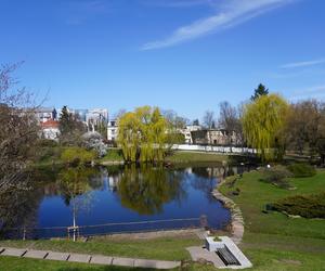Cztery piękne parki na Mokotowie, w których się zakochasz. Idealne na spacer i odpoczynek z rodziną