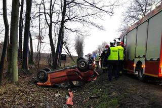 Młoda kobieta ZGINĘŁA, bo... próbowała wyminąć dzika? Koszmarny wypadek na Pomorzu