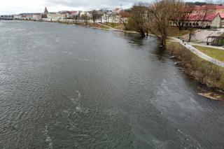 podniesiony poziom wód na Warcie