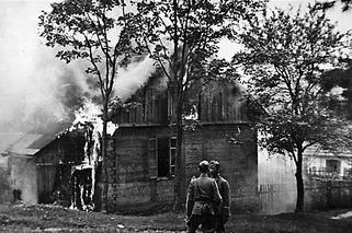 Leśni majora Piwnika