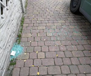Wyleciał mi przed maskę