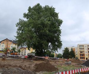 Wreszcie dzieci bezpiecznie dotrą do szkoły i na basen w Fordonie. A co z topolą?