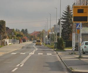 Oto najlepsze miejsce do życia na Mazowszu. Zielona oaza tuż pod Warszawą. Ranking top 10 według AI