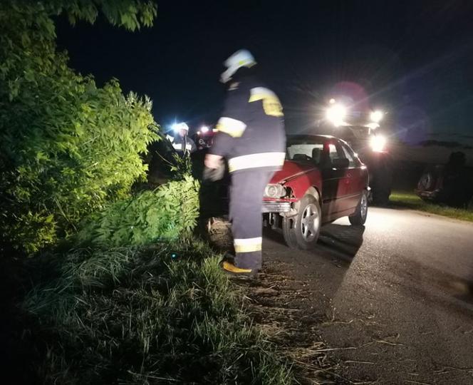 Pies wyskoczył wprost pod koła BMW. Matka z dziećmi zjechała do rowu [ZDJĘCIA]